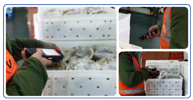 K1 Cold.png K1 Cold.png